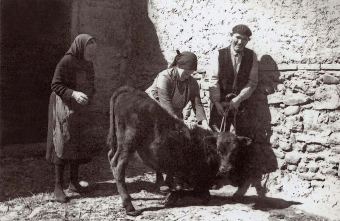 La Cepeda en Blanco y Negro, en Sueros de Cepeda estrena nueva edición